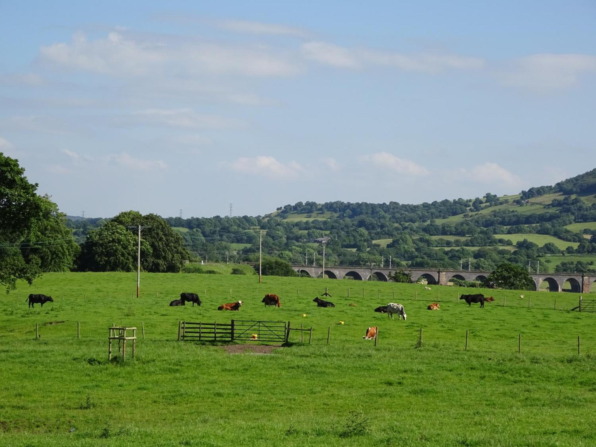 Bed and Breakfast Yew Tree Farm Eaton  Exterior foto